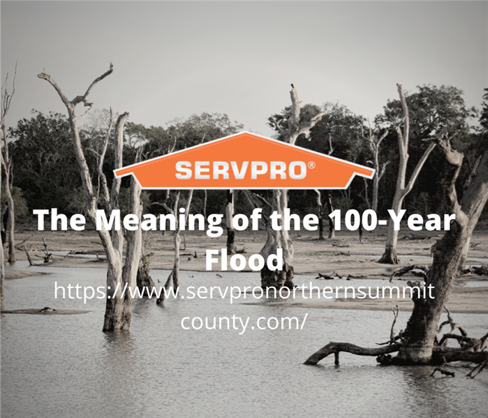 Title over flooded land of barren trees