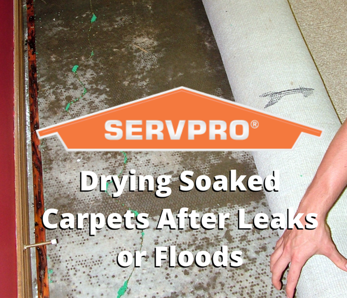 Drying soaked carpets